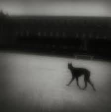 MATT MAHURIN: PHOTOGRAPHS (1988)