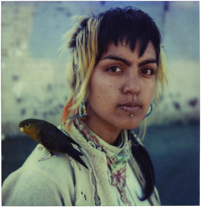 MIKE BRODIE: TIMES OF DIRT AND BONE