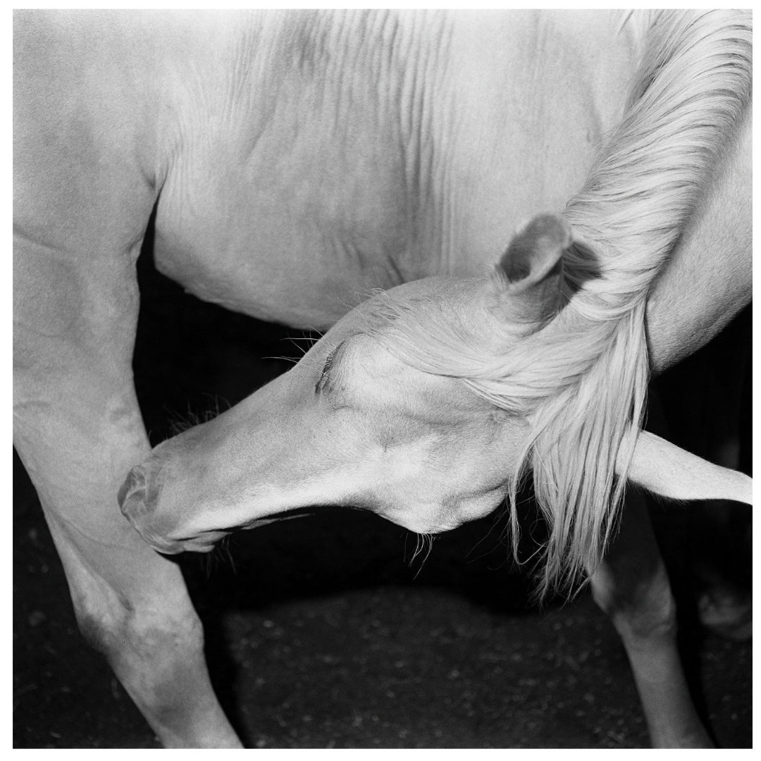 MIMI PLUMB: MEGALITH-STILL