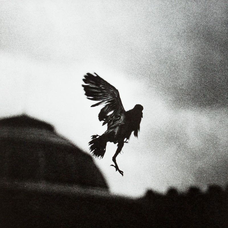 MATT MAHURIN: PHOTOGRAPHS (1988)