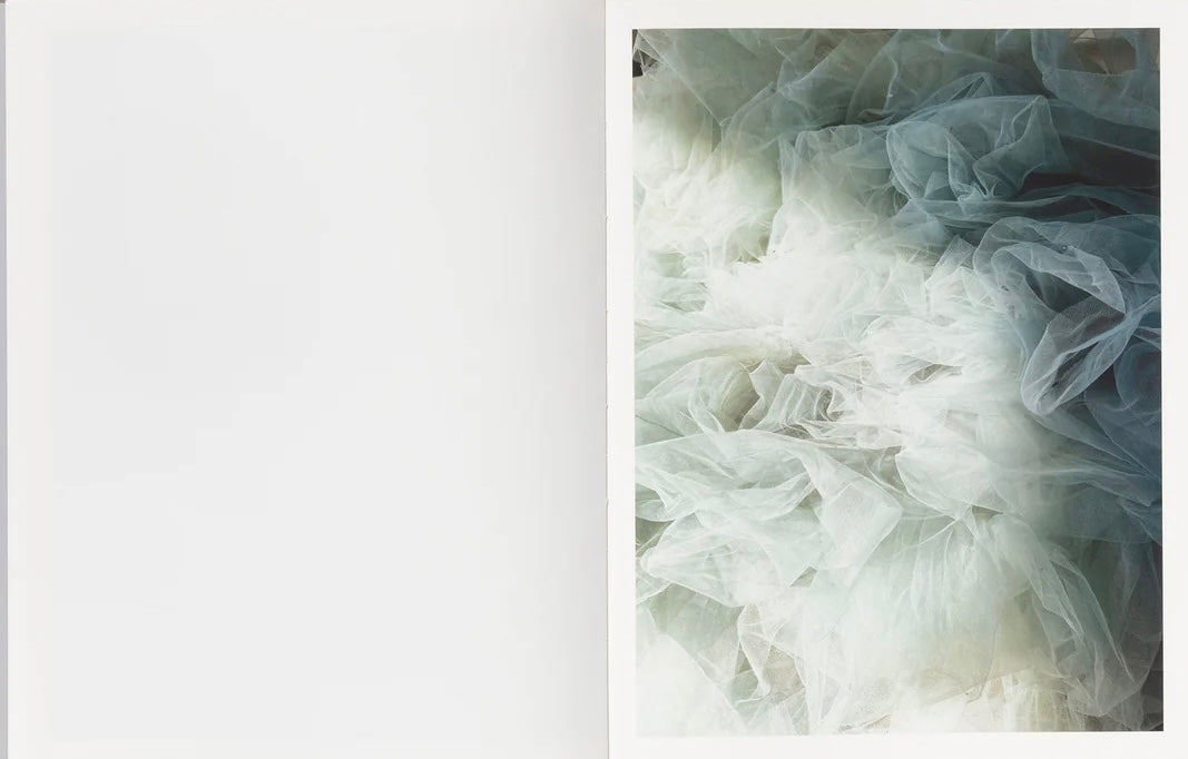 MAUDE ARSENAULT: RESURFACING