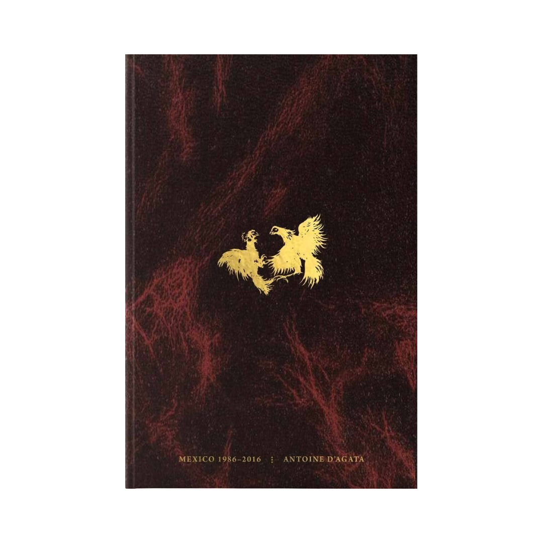 ANTOINE D´AGATA: CODEX. MÉXICO 1986-2016