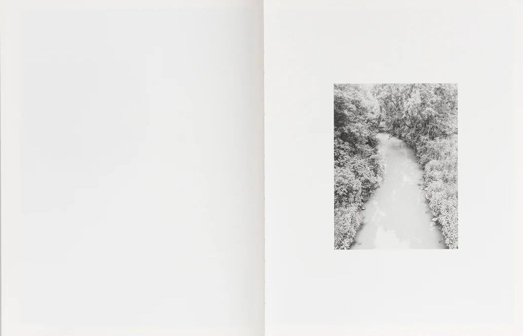 MAUDE ARSENAULT: RESURFACING