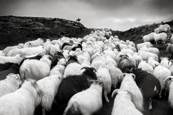 RAGNAR AXELSSON: BEHIND MOUNTAINS