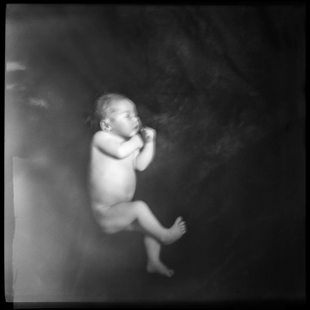 ANNA ARENDT: VANISHING (SIGNED)