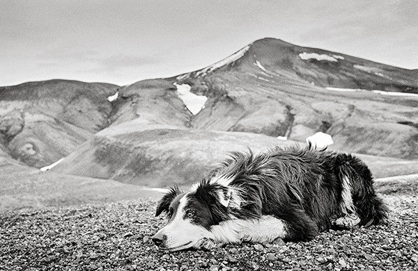 RAGNAR AXELSSON: BEHIND MOUNTAINS