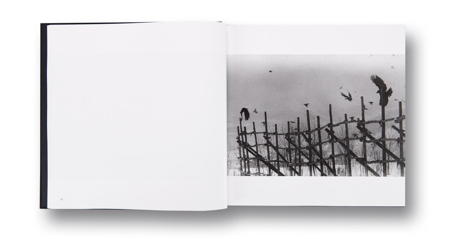 MASAHISA FUKASE: RAVENS