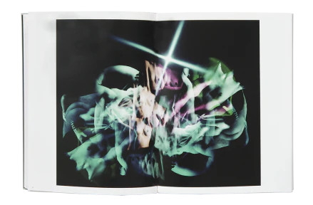 MASAHISA FUKASE: MASAHISA FUKASE