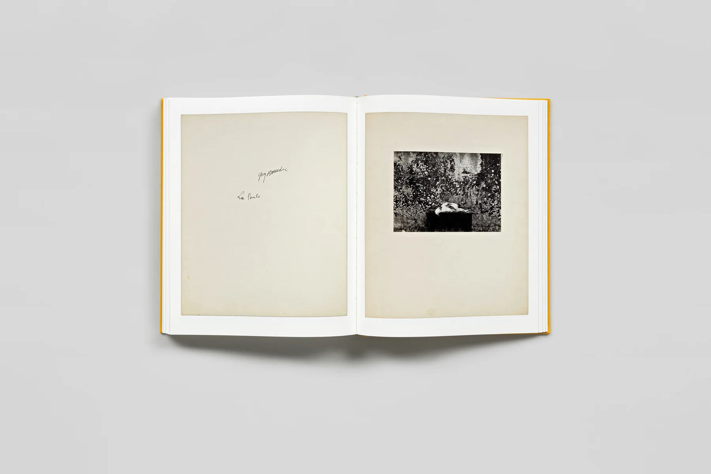 GUY BOURDIN: UNTOUCHED