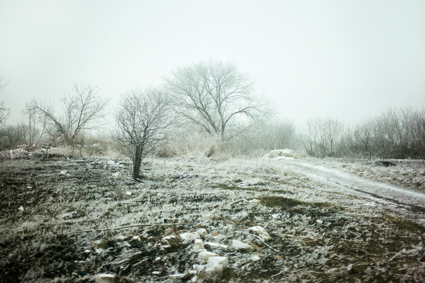 FLORIAN BACHMEIER: IN LIMBO