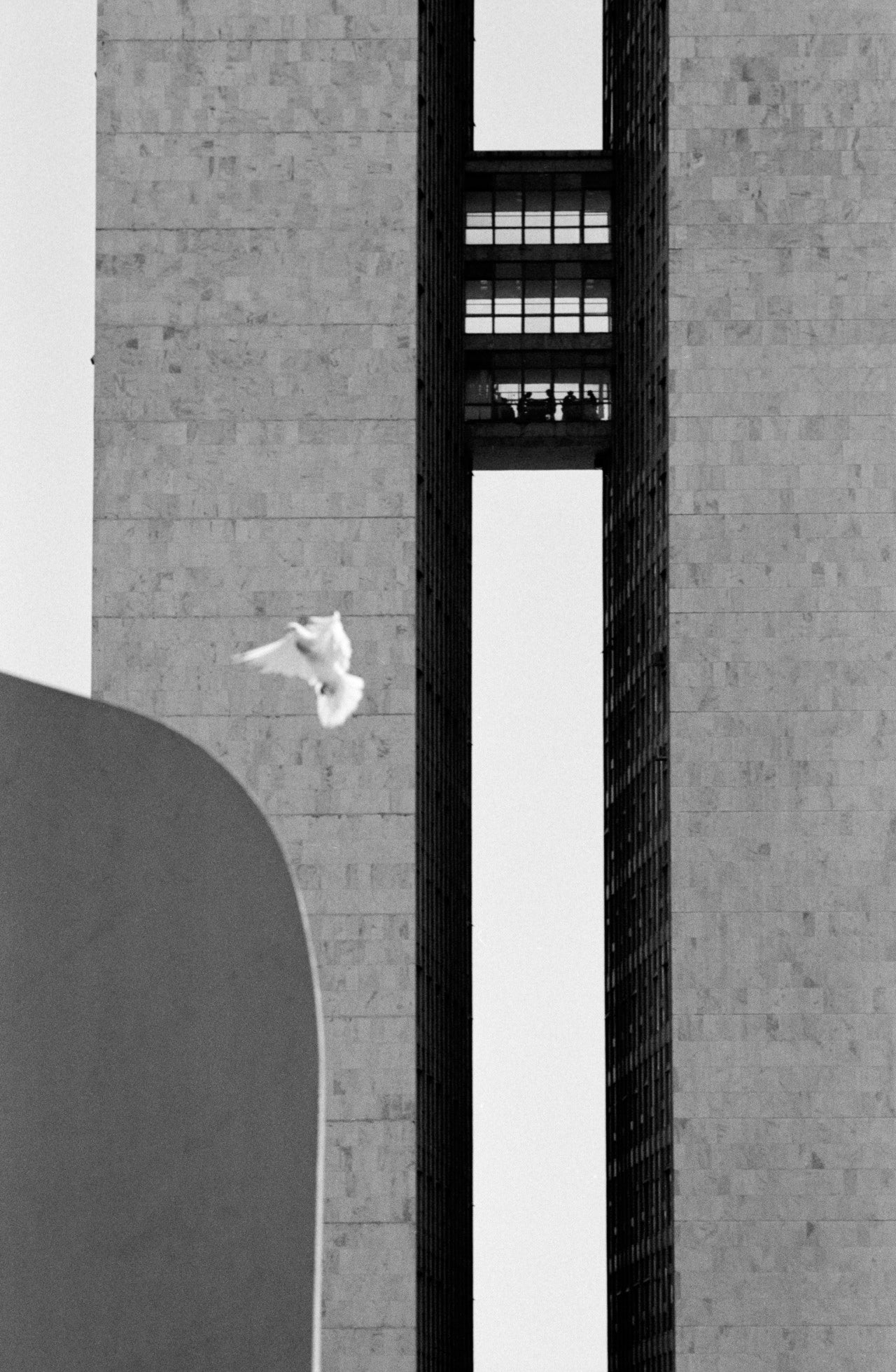 RENE BURRI: BRASILIA