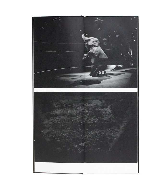 SAKIKO NOMURA: FATE IN SPRING (signed)