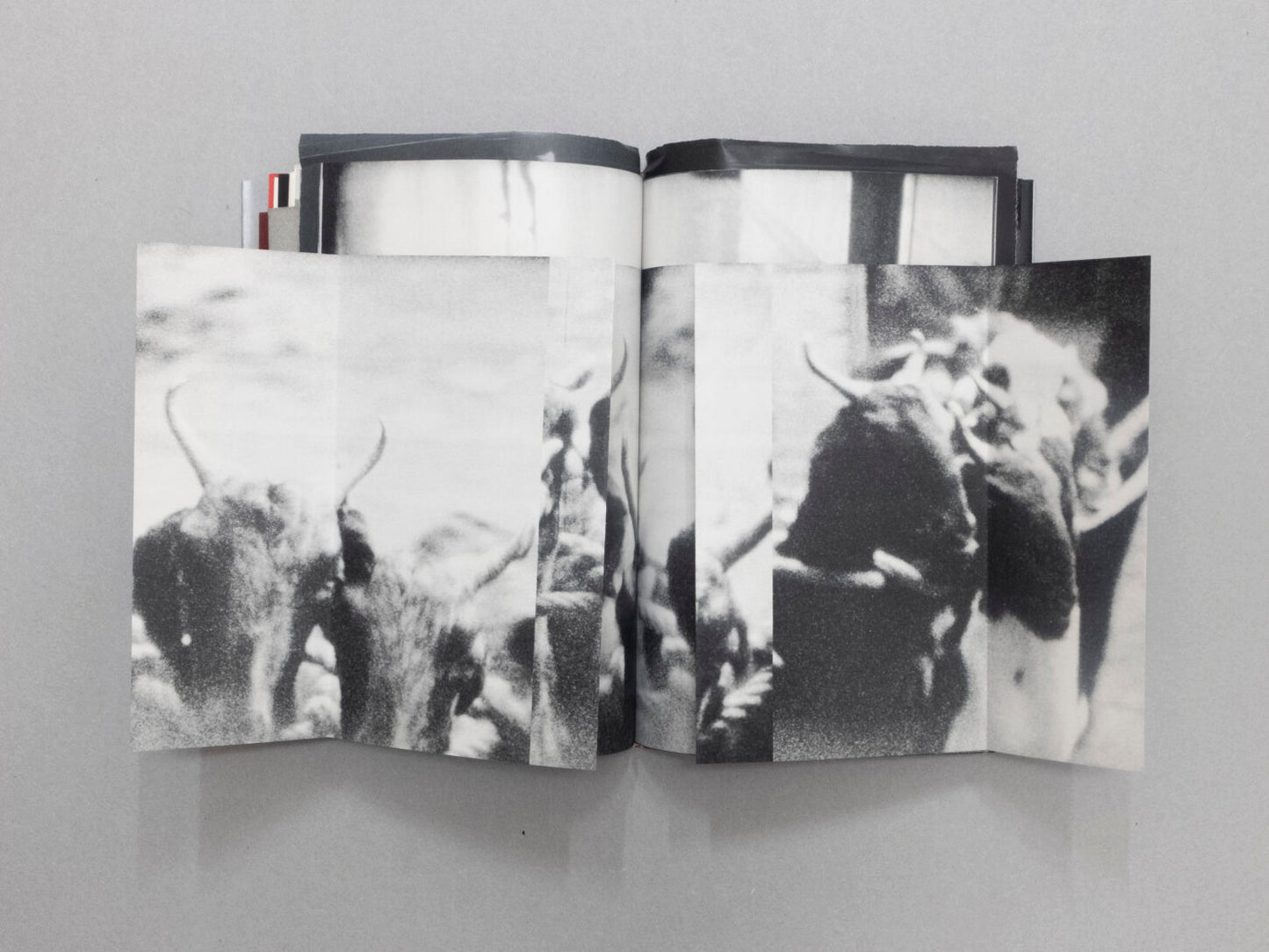 LORENZO CASTORE: WALS (FIRST EDITION OF 125 COPIES SIGNED AND NUMBERED)
