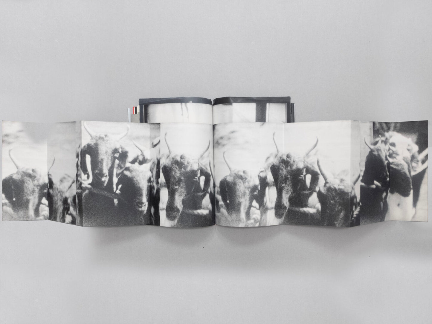 LORENZO CASTORE: WALS (FIRST EDITION OF 125 COPIES SIGNED AND NUMBERED)