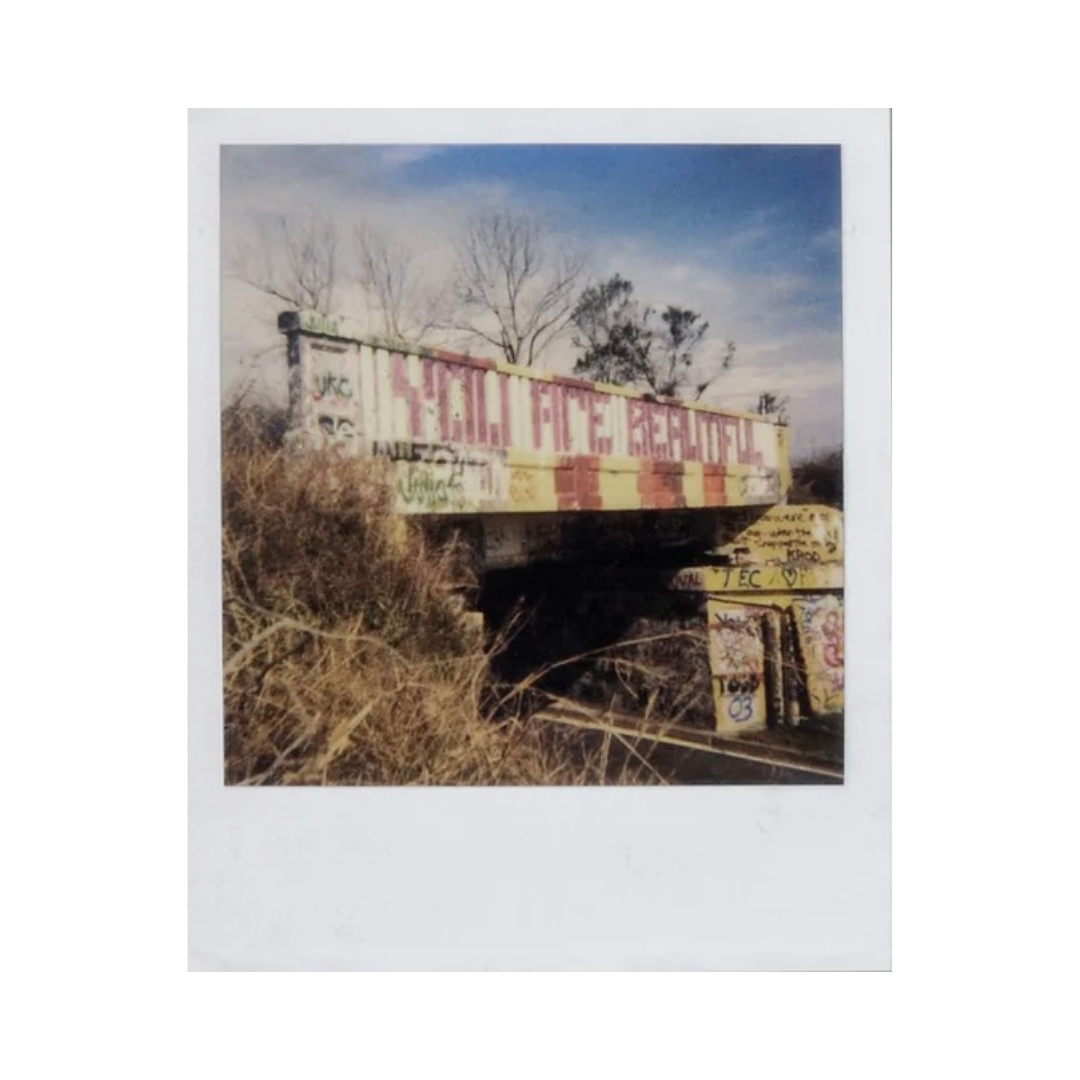 MIKE BRODIE: POLAROID KID