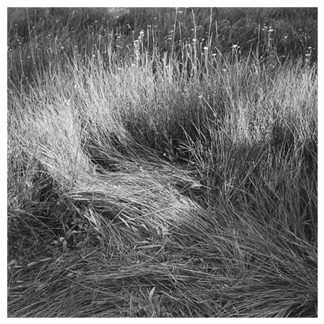 MIMI PLUMB: MEGALITH-STILL
