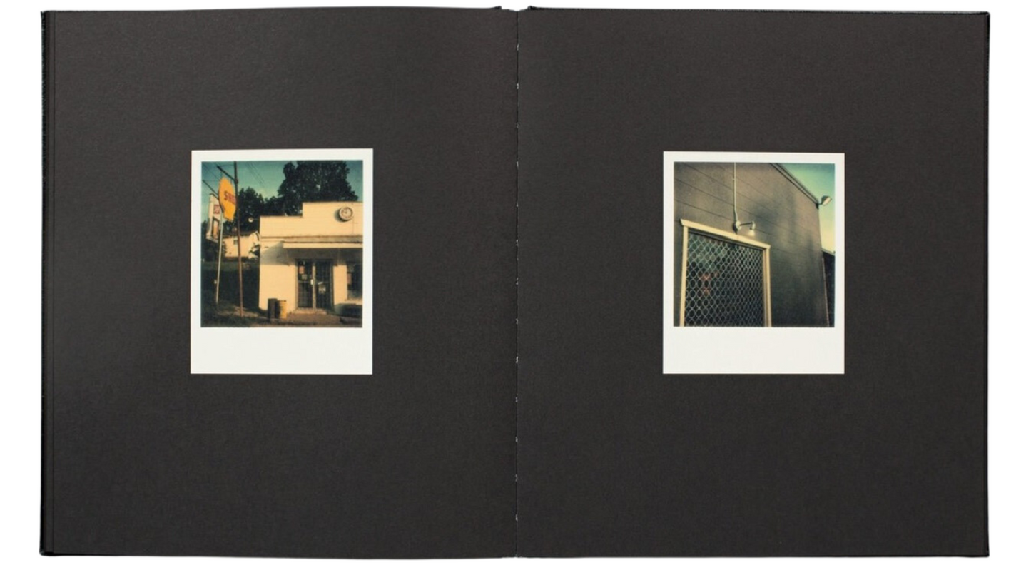 WILLIAM EGGLESTON: POLAROID SX-70