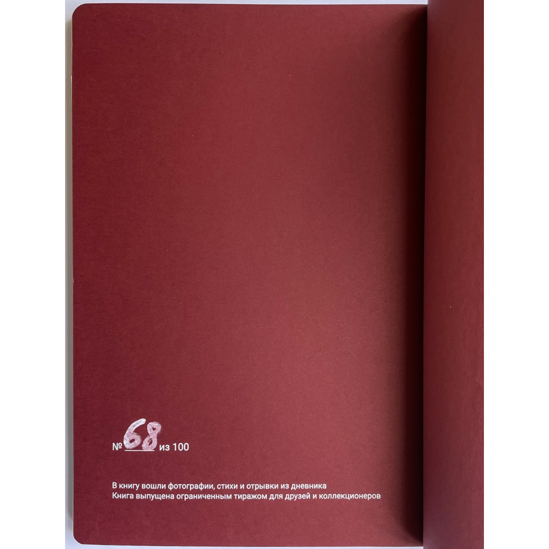 OLEG VIDENIN: THE CHERRY NOTEBOOK (edition of 100, preowened)