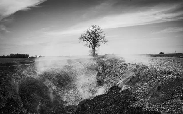 PAVEL NASADIL: DELTA (SIGNED)