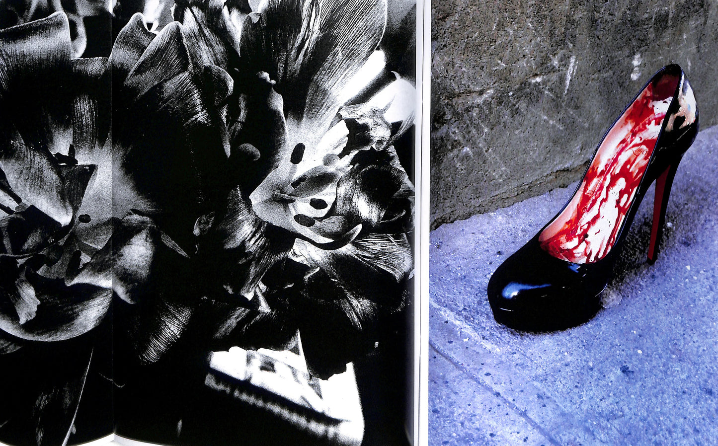 DAIDO MORIYAMA: SHINOBU (signed/numbered)