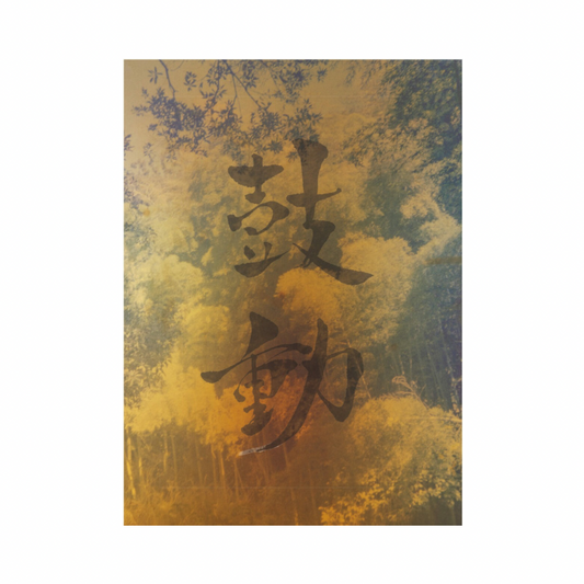 MARTIN BOGREN: KODO (SIGNED)