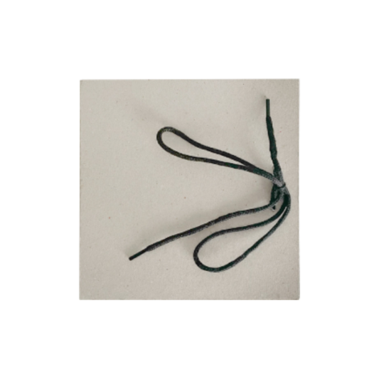 MICHAEL ACKERMAN: HOMESICK NEW YORK