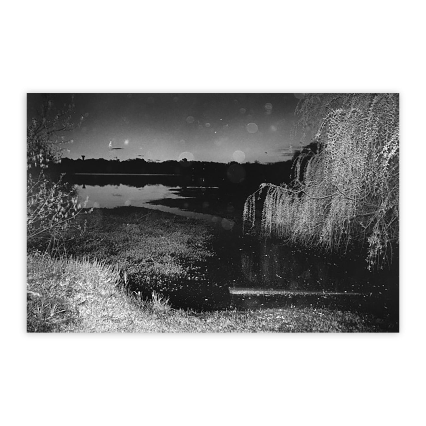 GABRIELLE DUPLANTIER: TERRES BASSES