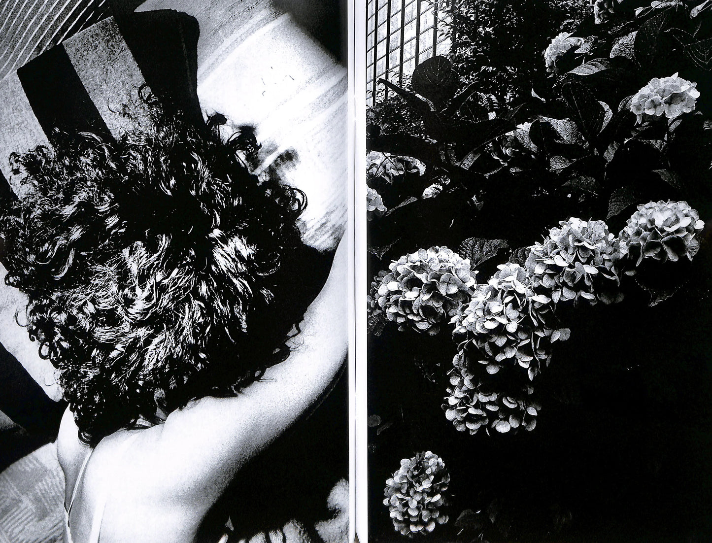 DAIDO MORIYAMA: SHINOBU (signed/numbered)