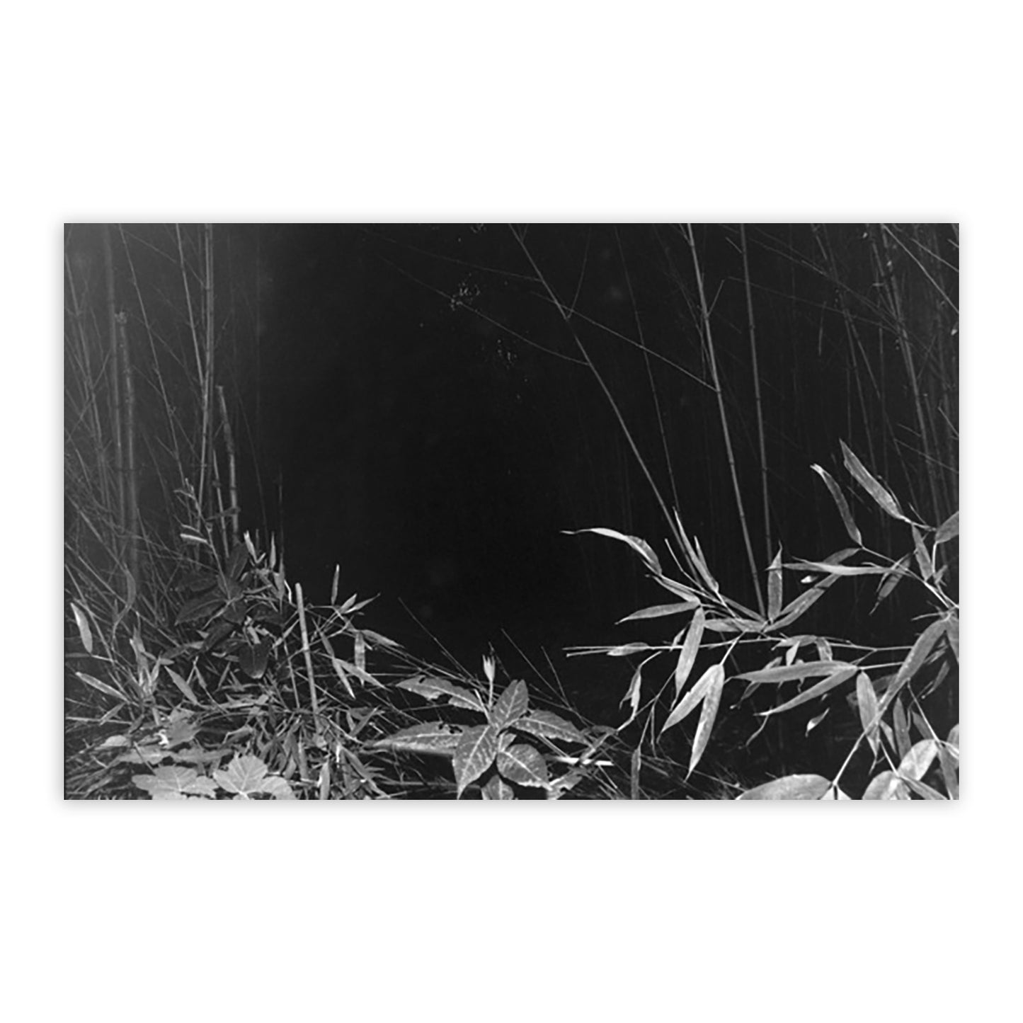 GABRIELLE DUPLANTIER: TERRES BASSES