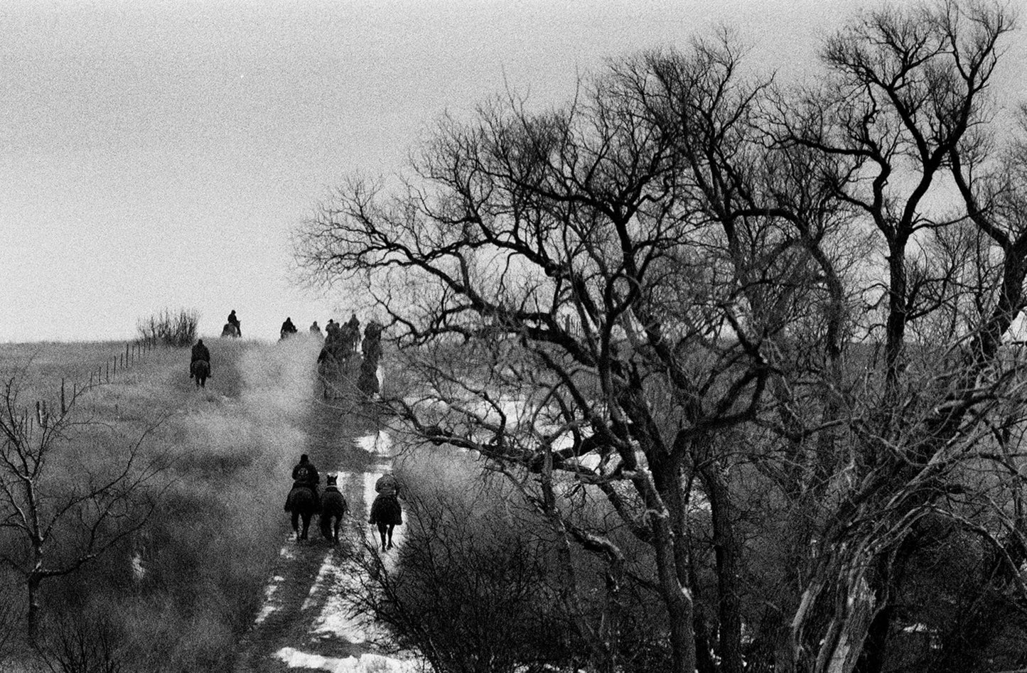 SIMON VANSTEENWINCKEL: AUX OMBRES