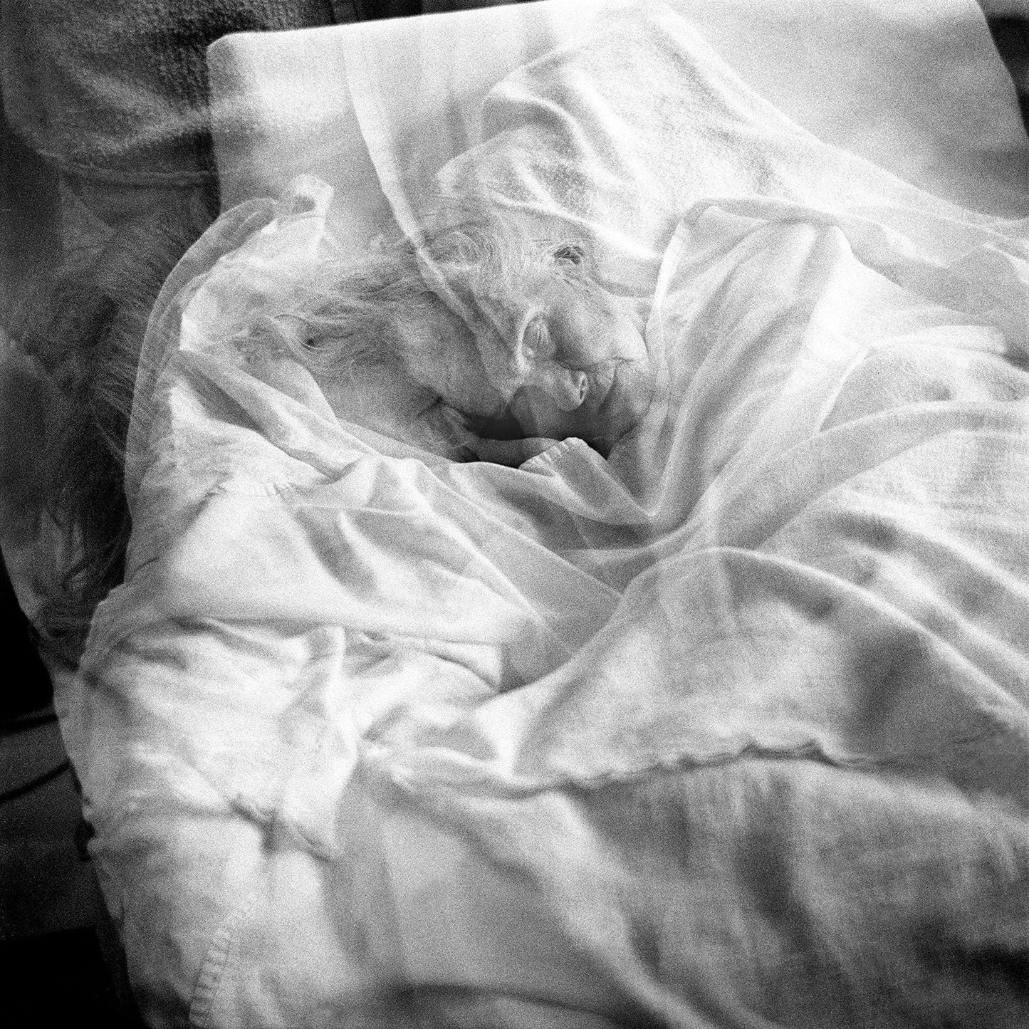 ANNA ARENDT: VANISHING (SIGNED)