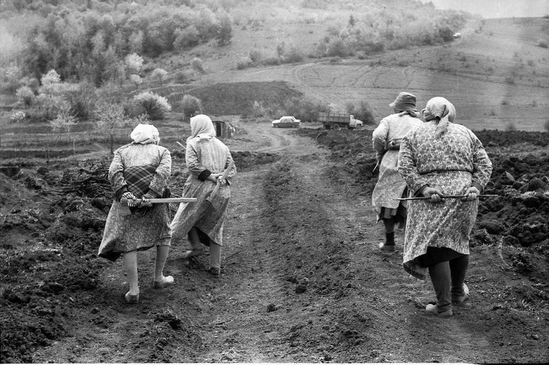 NATELA GRIGALASHVILI: TAGVETI
