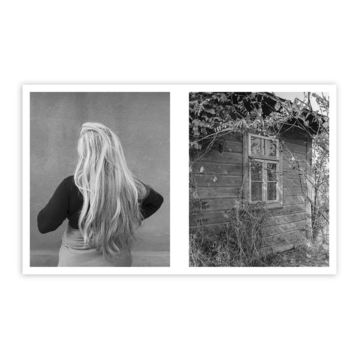 LJUBISA DANILOVIC: LA LUNE DE PAYNE