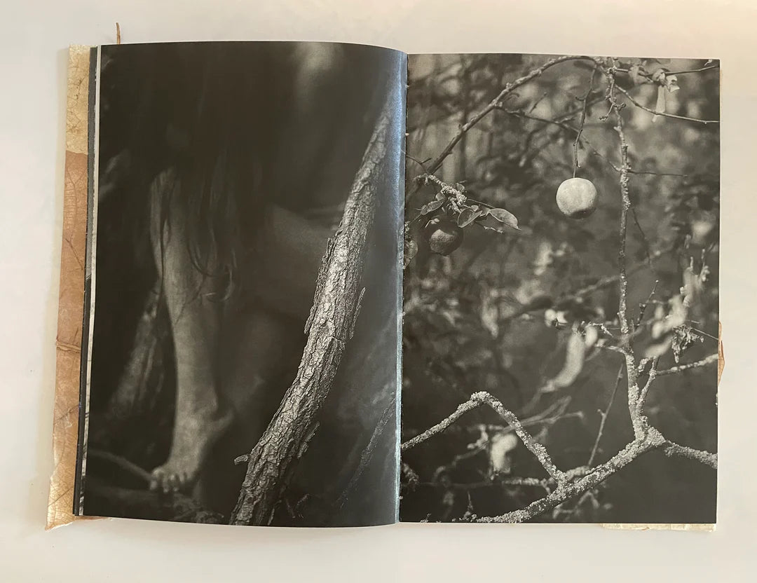 RUSLAN HRUSHCHAK: PATCHWORK GARDEN (signed/numbered)