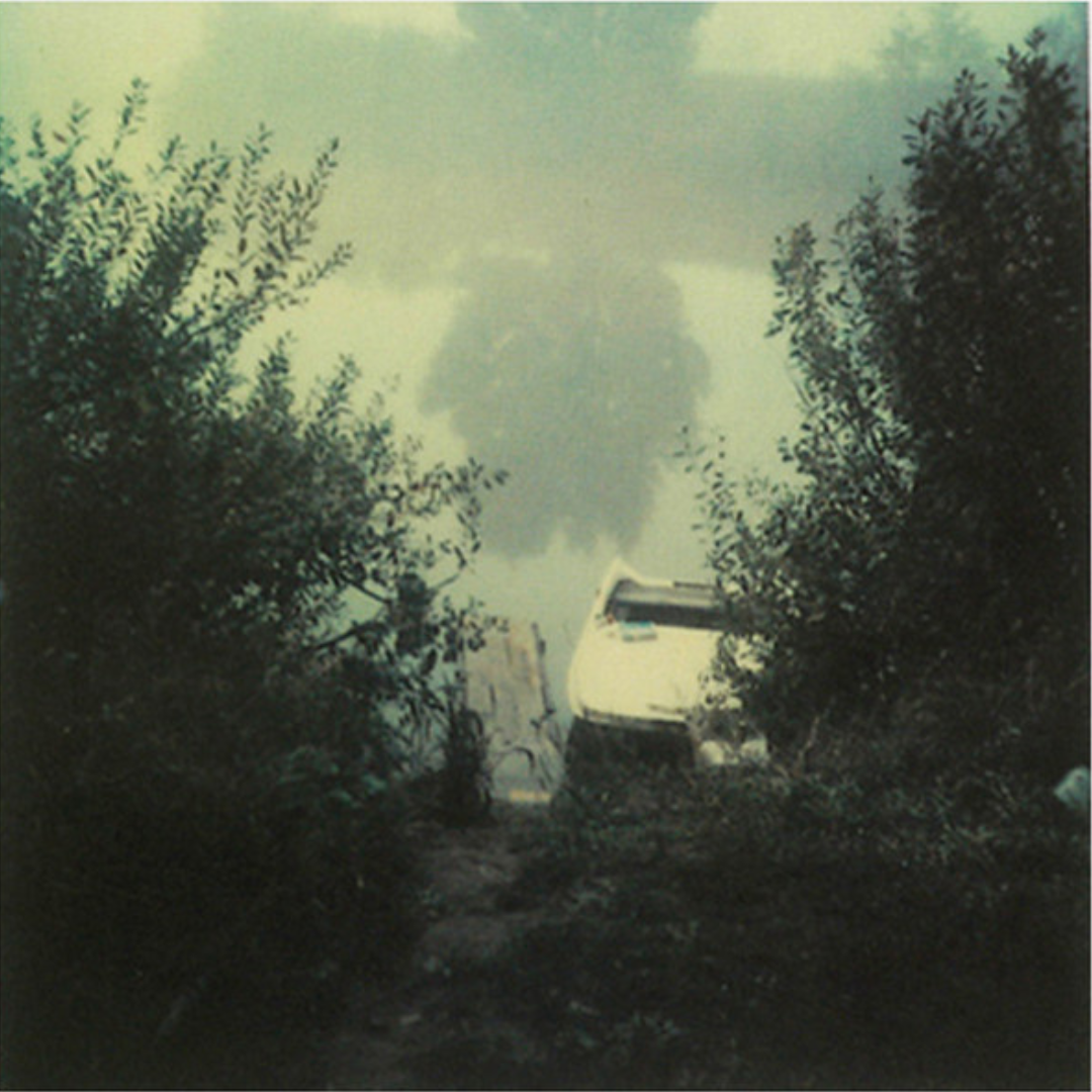 ANDREI TARKOVSKY: INSTANT LIGHT (polaroids by Andrei Tarkovsky)