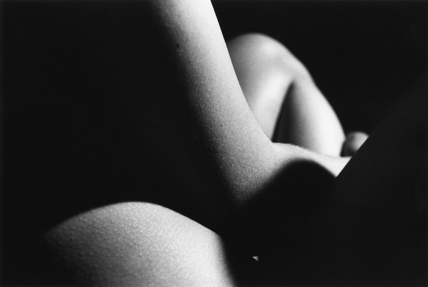 DAVID LYNCH: NUDES