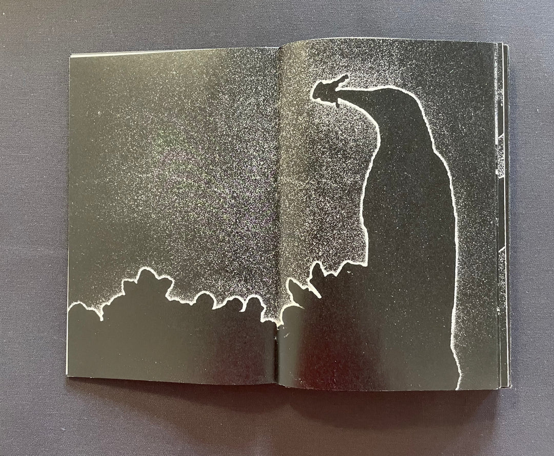 ILIAS GEORGIADIS: FORECAST (2nd edition, signed/numbered)