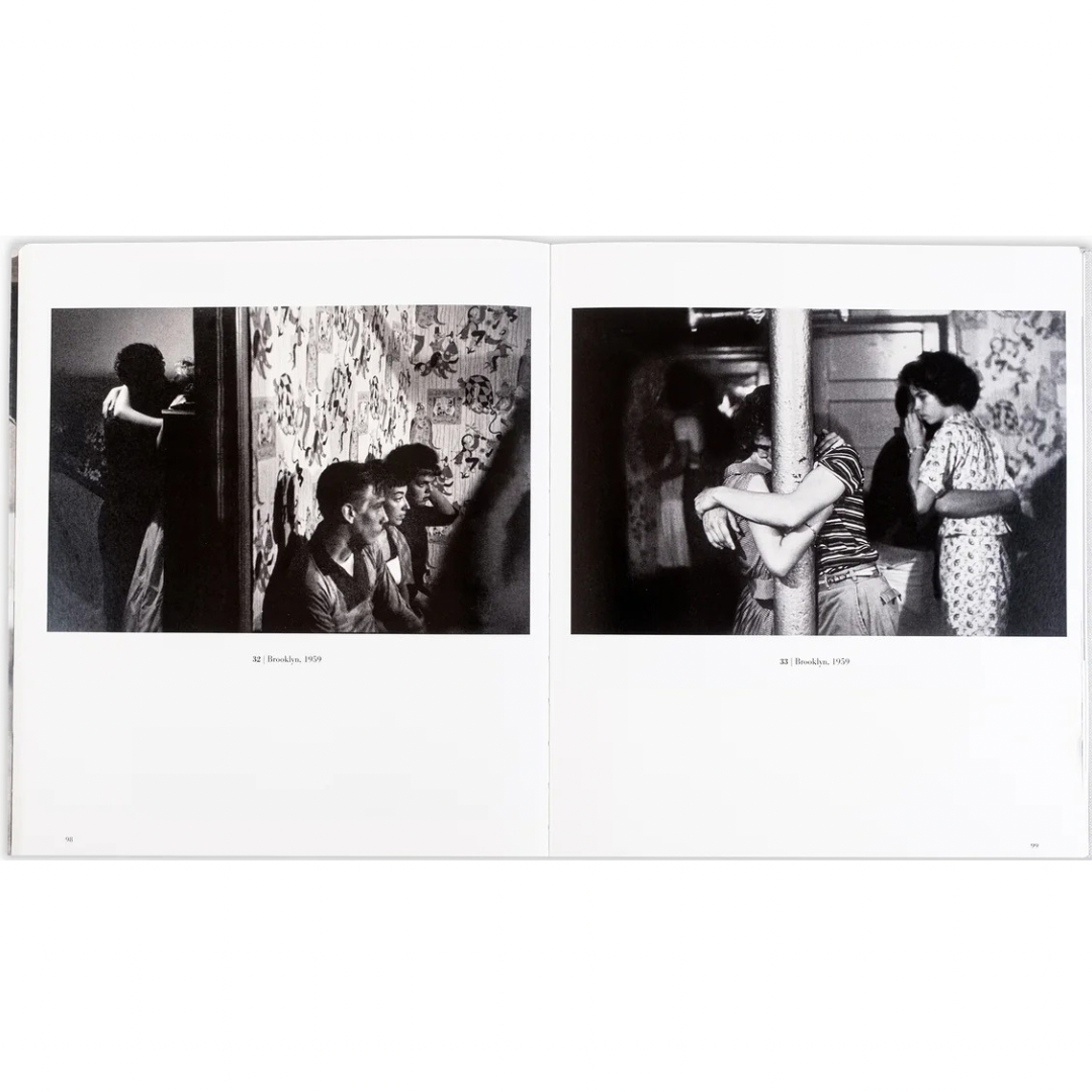 BRUCE DAVIDSON: SURVEY (Catalán edition)