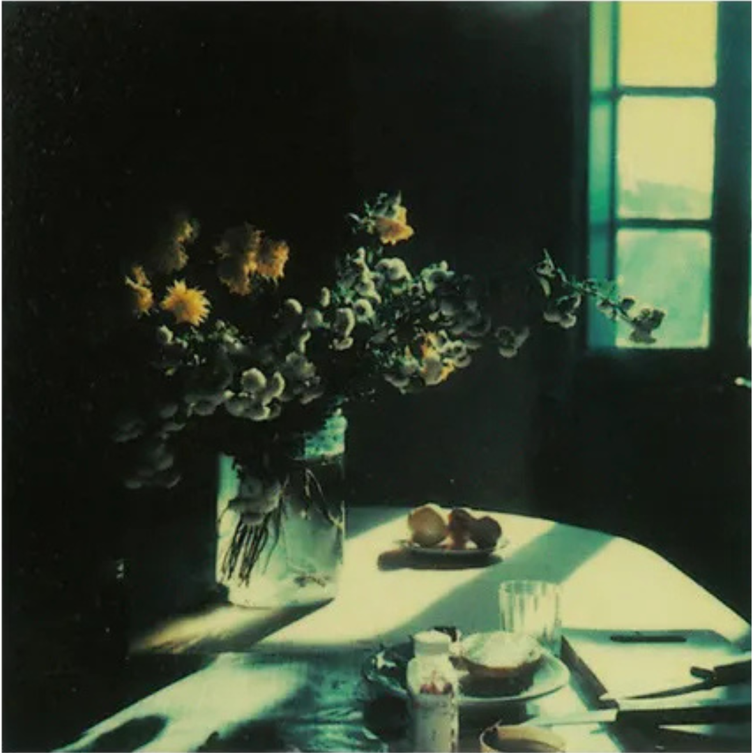 ANDREI TARKOVSKY: INSTANT LIGHT (polaroids by Andrei Tarkovsky)