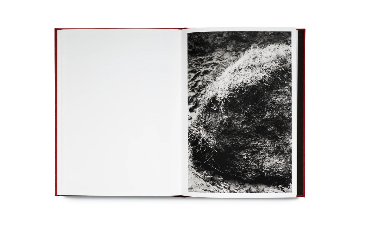 WILL GREEN: DEATH AND OTHER BELONGINGS