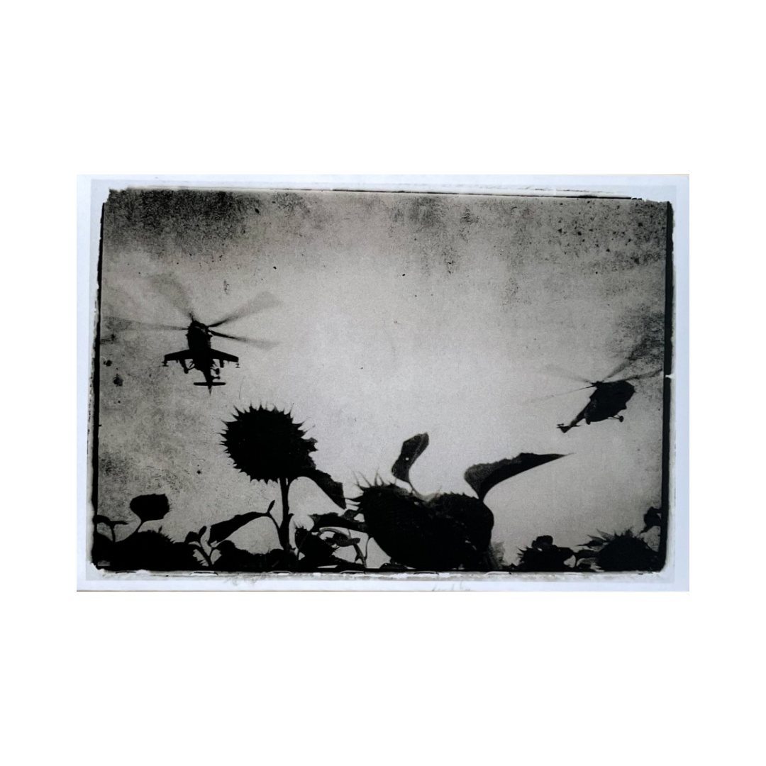 VLADYSLAV KRASNOSHCHOK: DOCUMENTATION OF WAR. SKYKEEPERS OVER BEEKEEPERS (SIGNED)