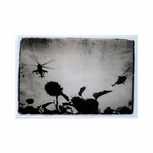 VLADYSLAV KRASNOSHCHOK: DOCUMENTATION OF WAR. SKYKEEPERS OVER BEEKEEPERS (SIGNED)