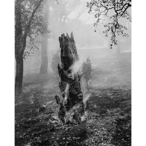 IAN BATES: THE WEIGHT OF ASH