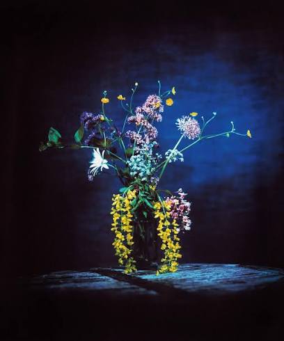 BRENDAN BARRY: FLOWERS FOR BEYA