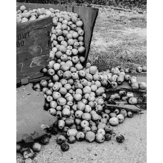 IAN BATES: THE WEIGHT OF ASH