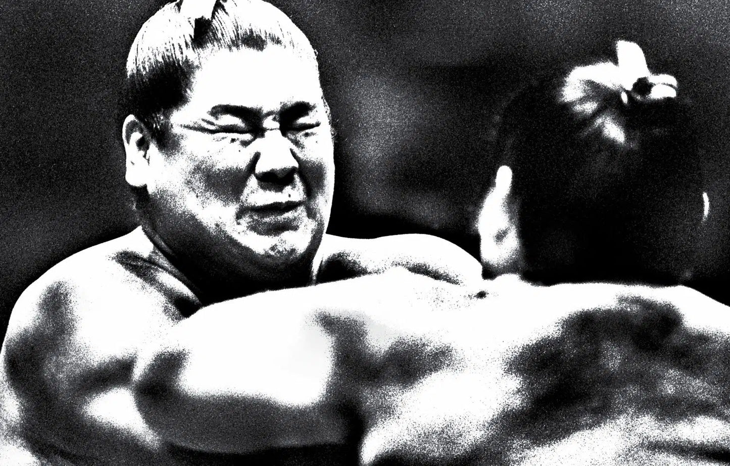 TOMASZ GUDZOWATY: SUMO