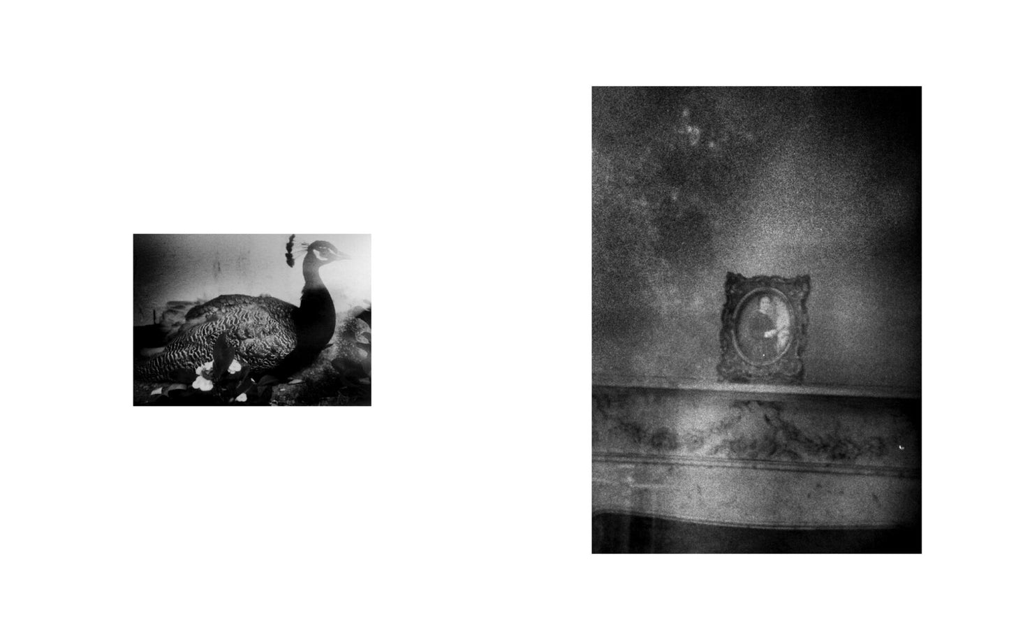 GILLES ROUDIÉRE: SOLEDADES