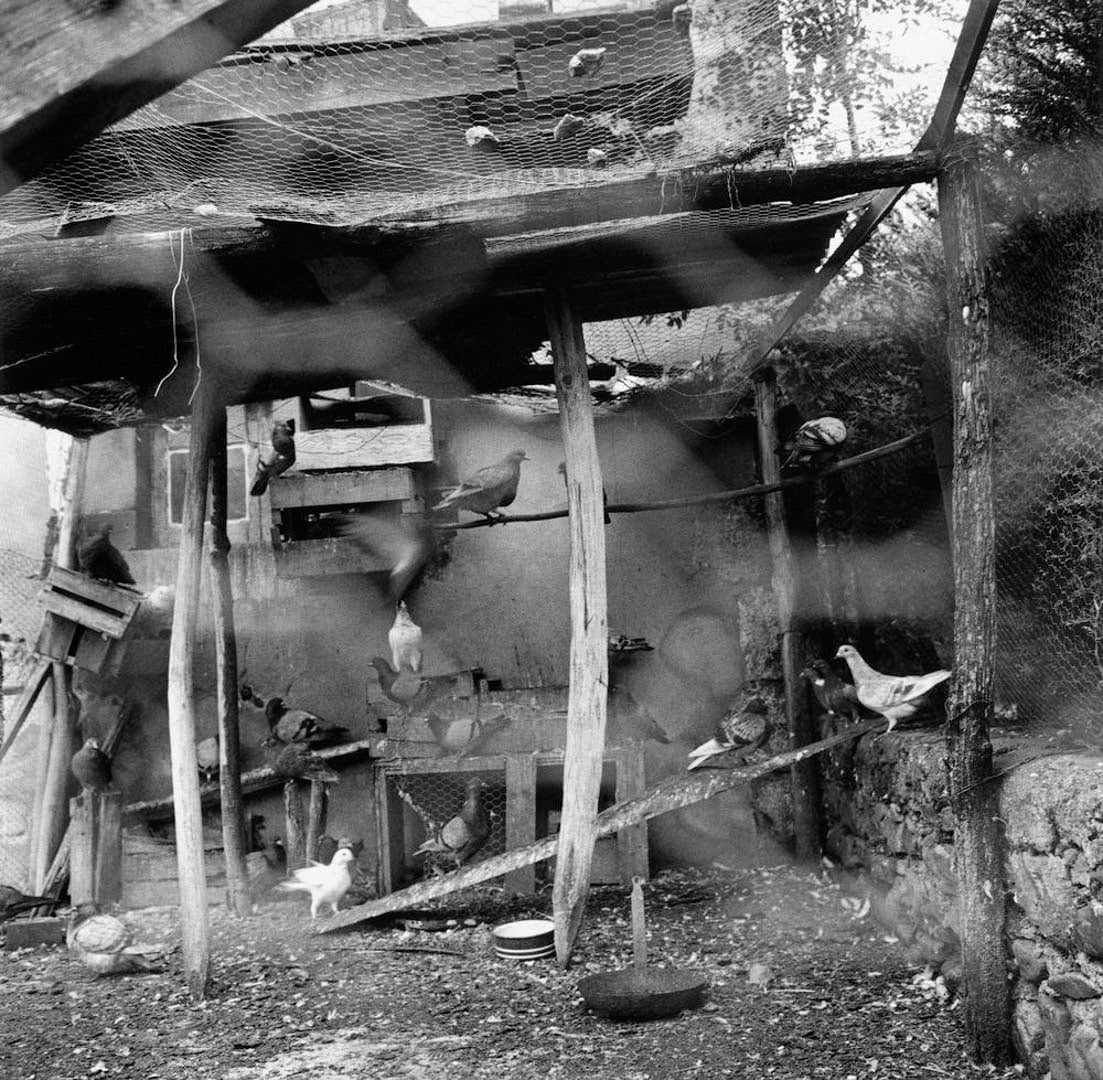 ANNE REARICK: GURE BAZTERRAK (OUR LAND)