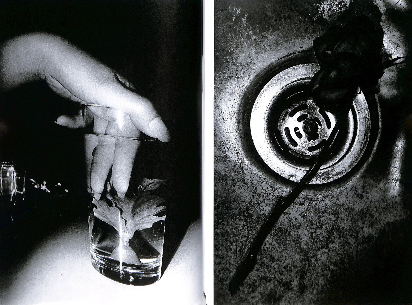 DAIDO MORIYAMA: SHINOBU (signed/numbered)