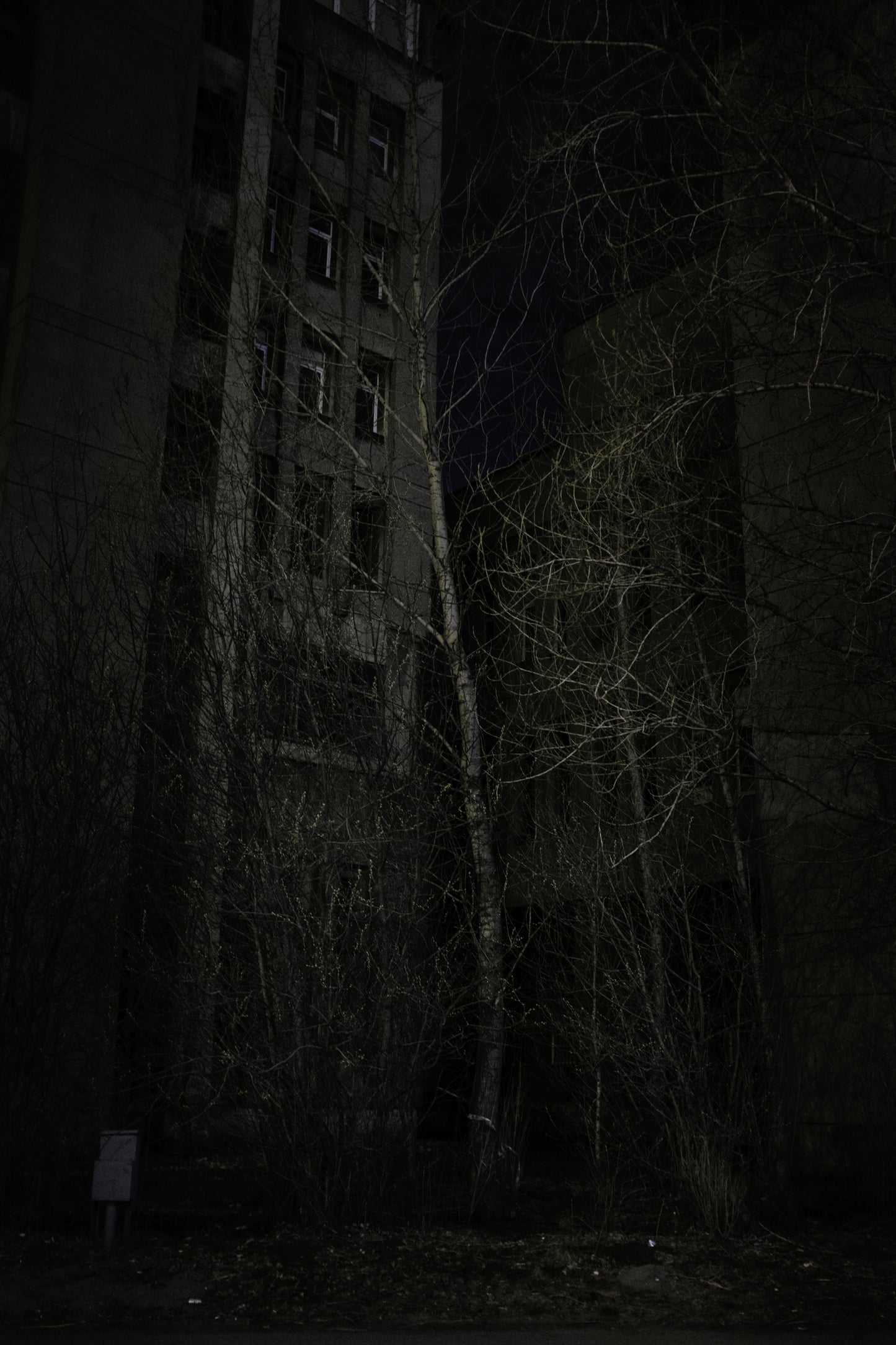 ALISA RESNIK: ON THE NIGHT THAT WE LEAVE